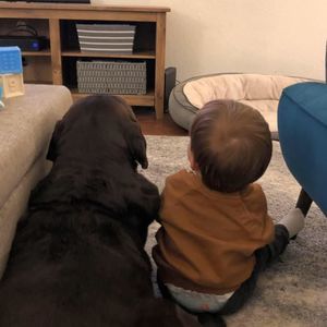 Meet your Posher, Jonathan